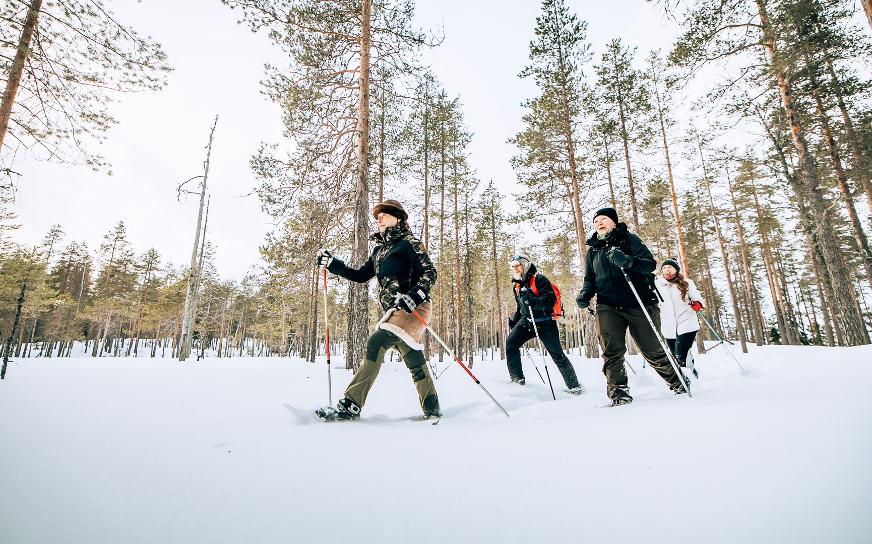 Un grupo de personas esquía de fondo en un bosque nevado.