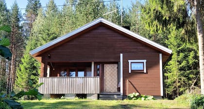 Cottage Accommodation With Experience the Finnish Nature and Tranquility!