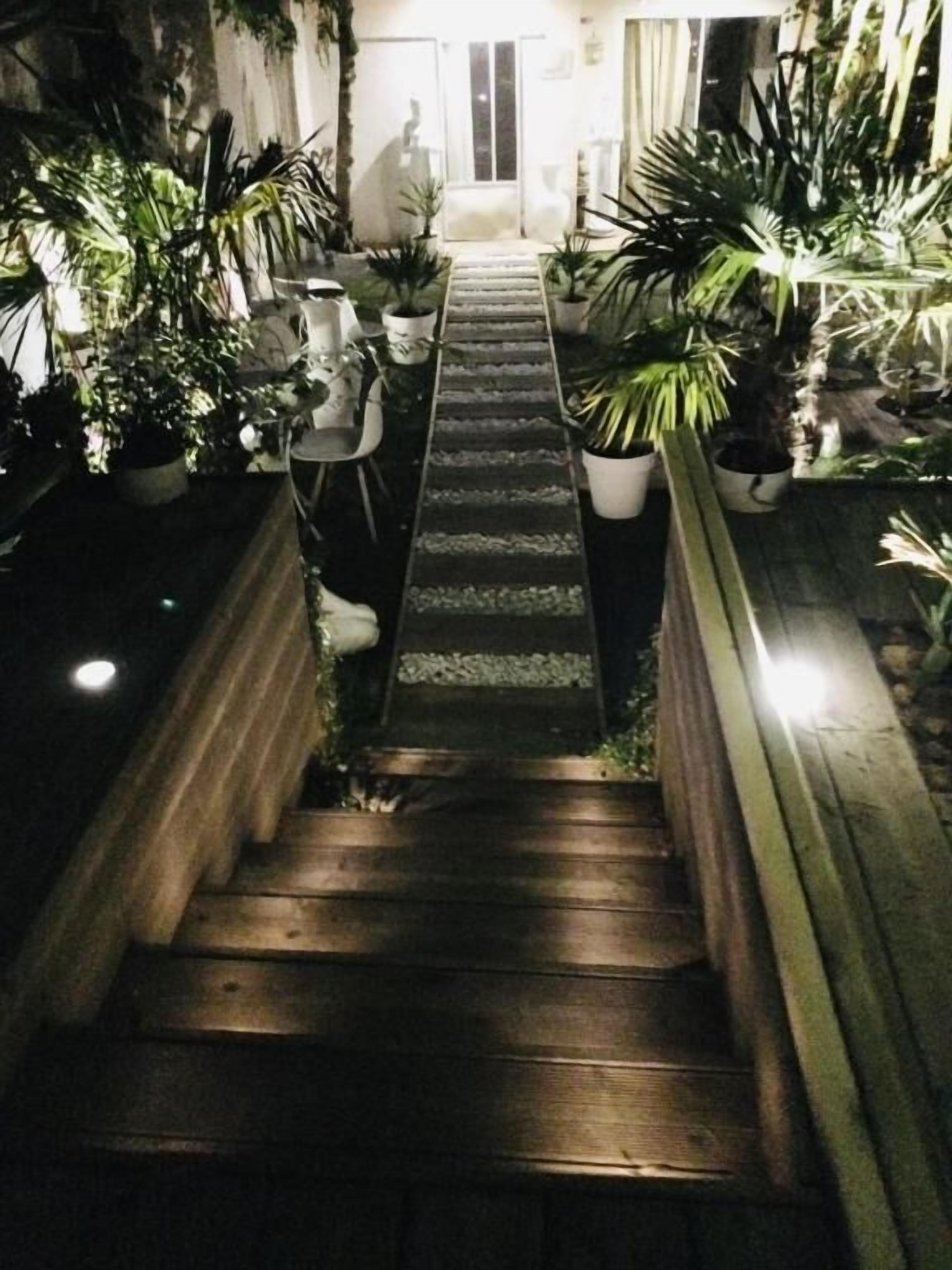 Una escalera de madera que lleva a una puerta, rodeada de plantas en macetas.