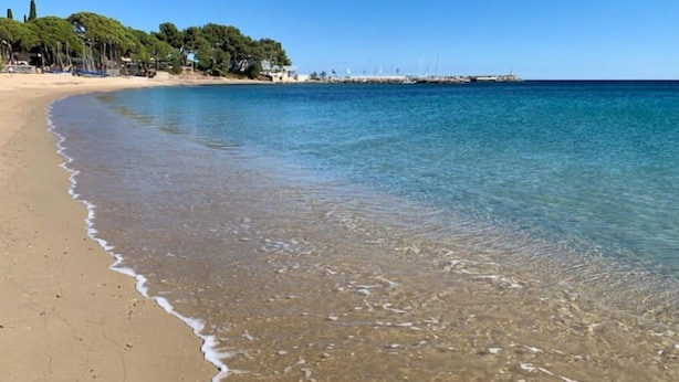 Ein Strand mit klarem Wasser, sandigem Ufer und einer entfernten Ansicht von Booten und Gebäuden.