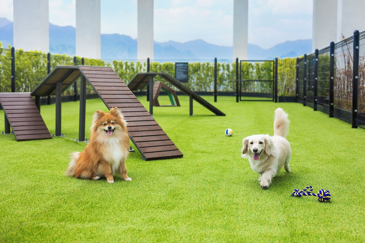 Superior Twin (Pet-Friendly | Rabies Cert. within 1 yr & Agreement Required | Breed Restrictions) | 2 bedrooms, in-room safe, laptop workspace, free cribs/infant beds