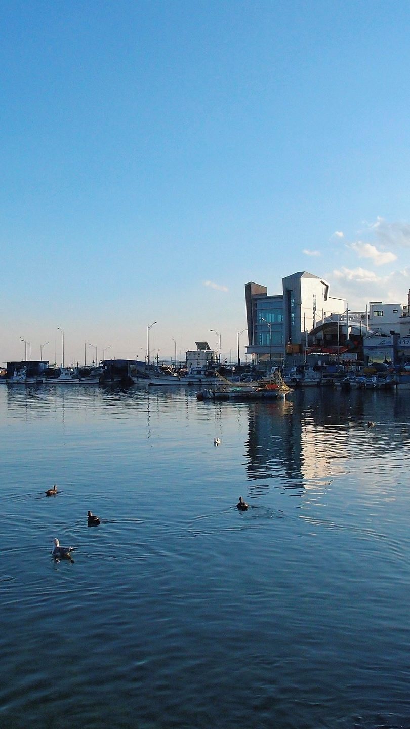 A marina with boats docked, a modern building with a glass facade, and a clear sky.