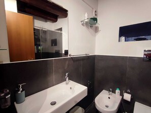 Douche, séchoir à cheveux, bidet, serviettes fournies