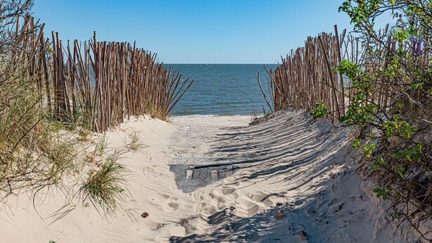 Un sentier de sable qui longe la plage et mène à la mer, bordé de clôtures en bois et d’une végétation clairsemée.