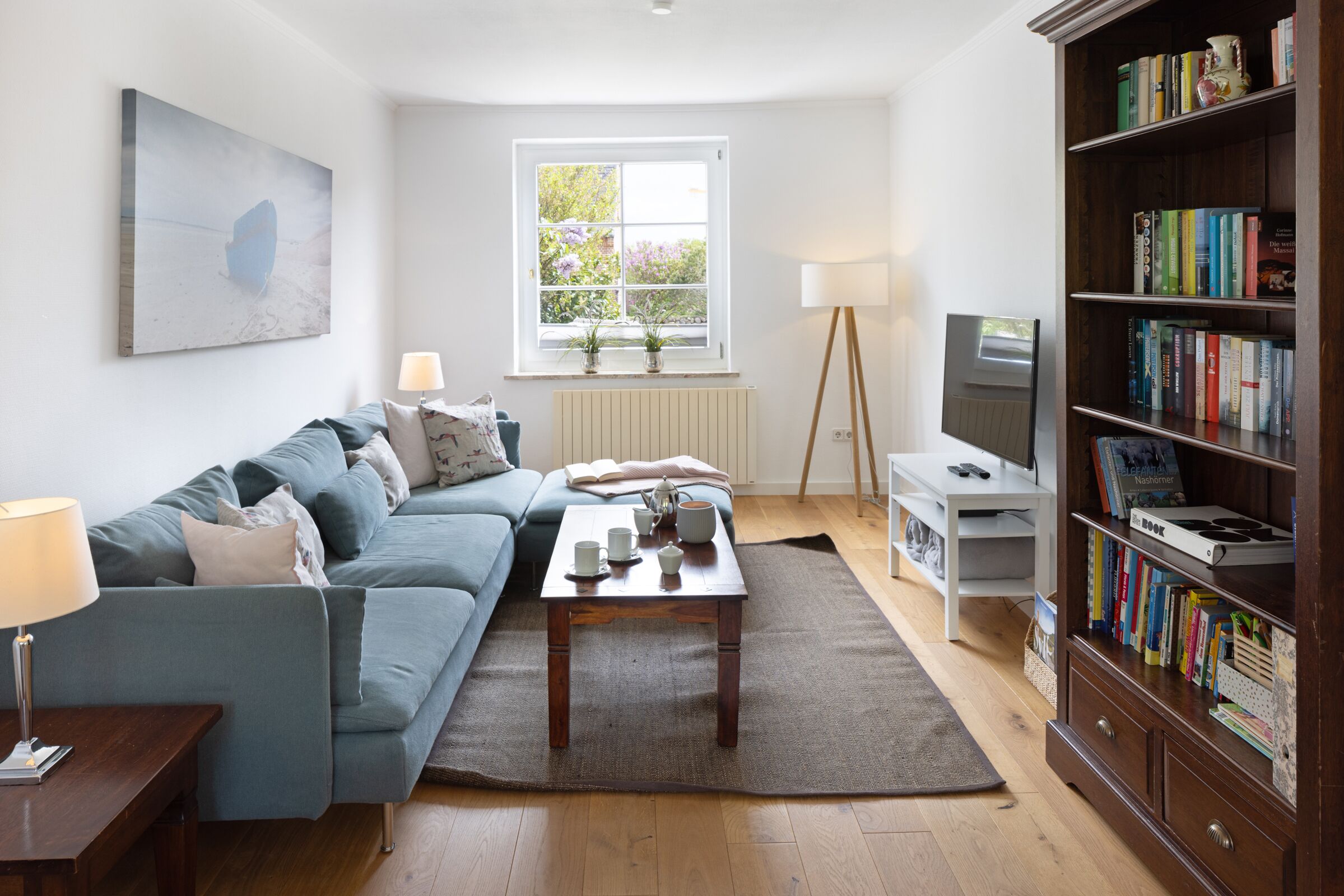 電視、DVD 播放機、乒乓球設施、書籍