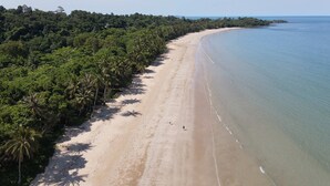 Una playa con orilla arenosa, palmeras y una vista despejada del océano.
