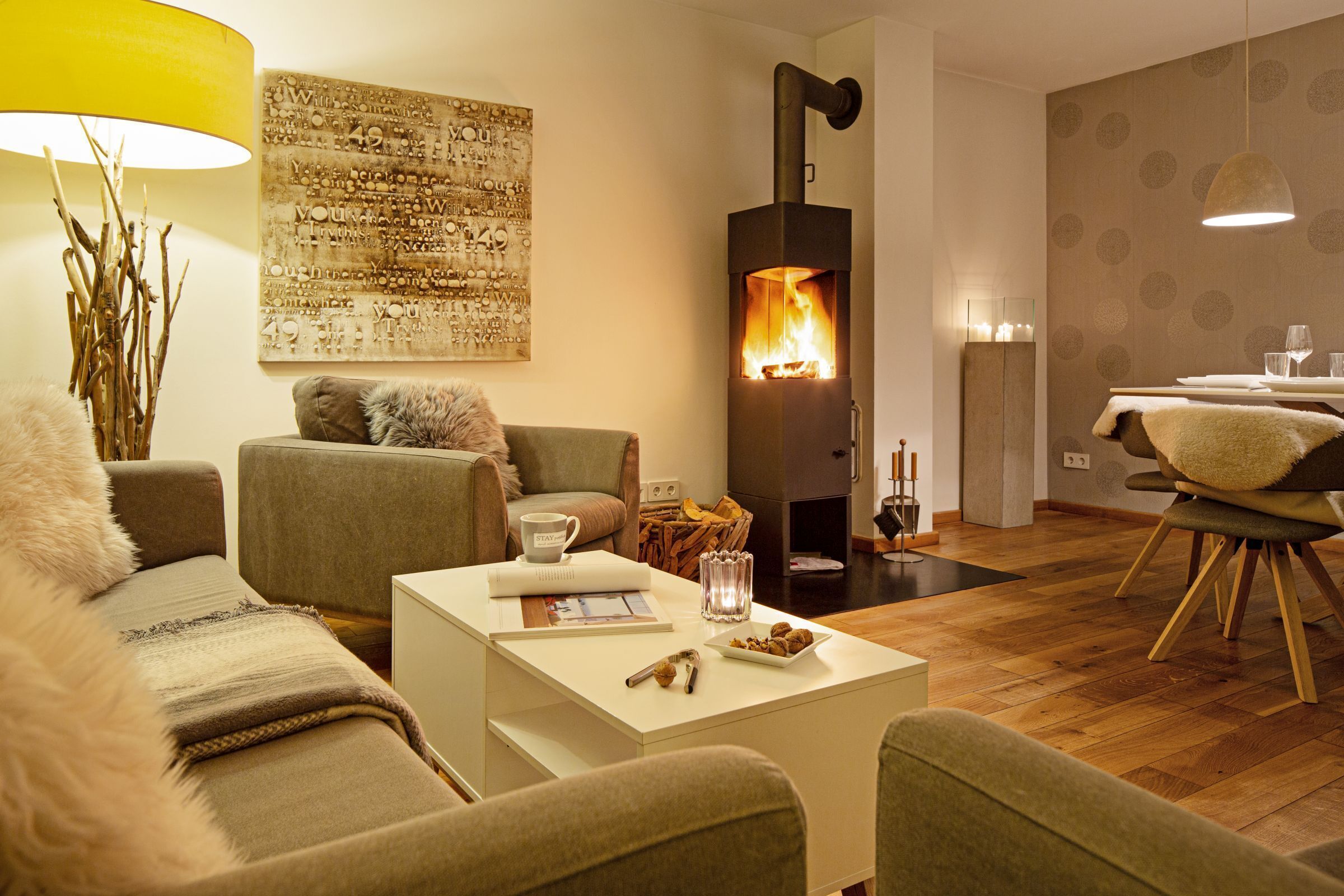 TV, fireplace, table tennis, books