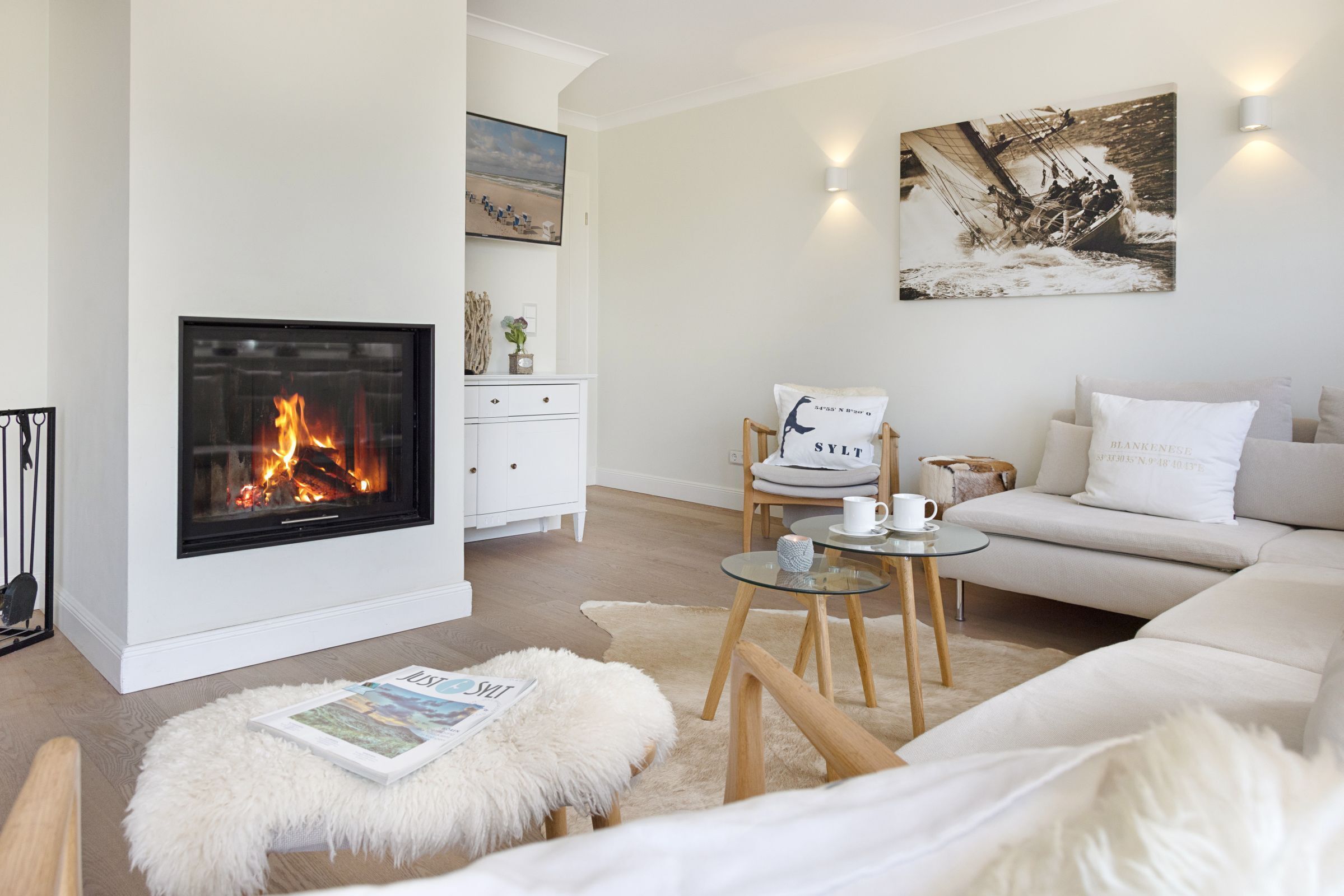 TV, fireplace, ping pong