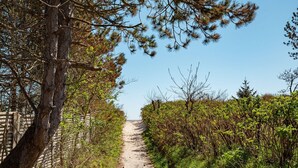 A dirt path flanked by dense vegetation and trees, leading towards a distant horizon.
