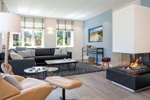 Télévision, cheminée, livres, chaîne hi-fi