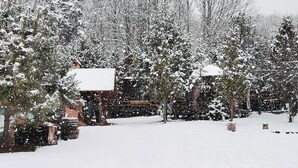 Garden - Forest House (Nistoresti)