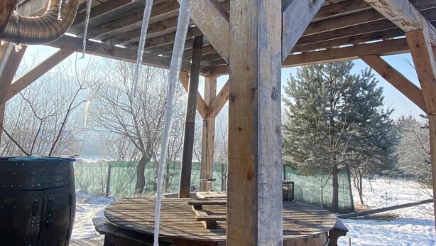Garden - Forest House (Nistoresti)
