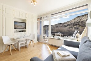 電視、DVD 播放機、書籍、音響