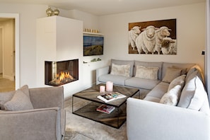 TV, fireplace, ping pong, books