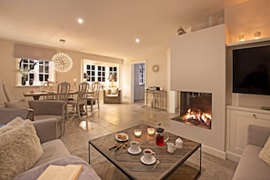 TV, fireplace, ping pong, books
