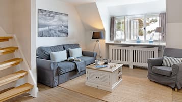 TV, DVD player, books, video library