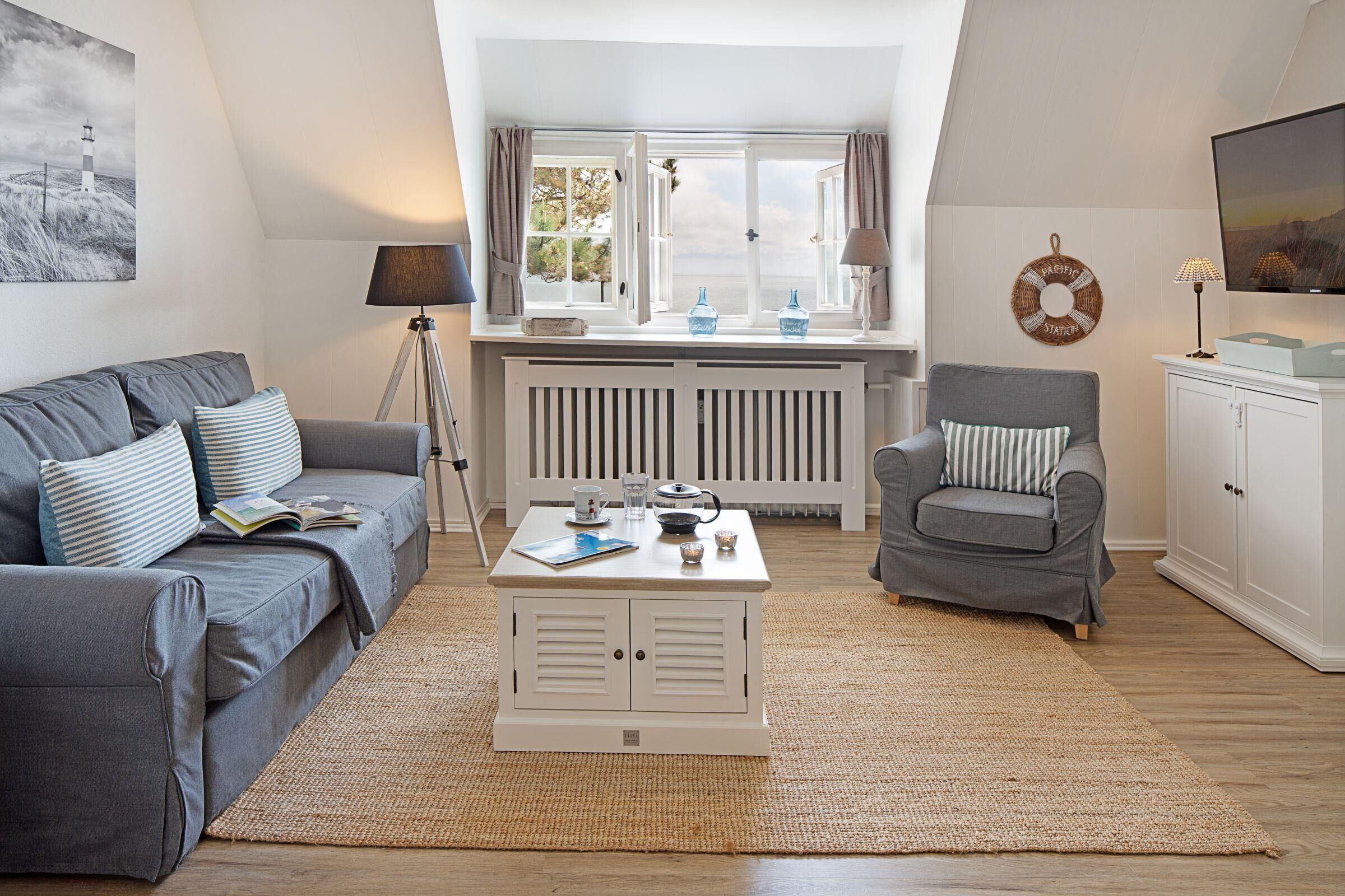 Tv, dvd-afspiller, bøger, videobibliotek