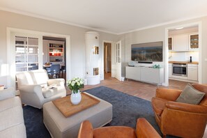 Télévision, cheminée, chaîne hi-fi