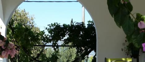 A balcony with a view of trees and a clear sky.
