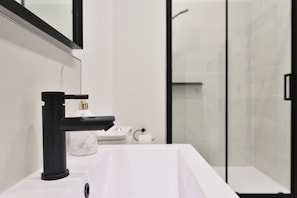 Hair dryer, towels, soap, toilet paper