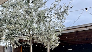 An outdoor seating area with a stone table and benches, surrounded by olive trees and a wooden building in the background. - The Crown Rooms (London)