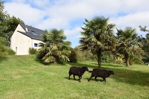Property grounds - Maen Glas Jacuzzi et Grand Domaine (Lanvéoc)