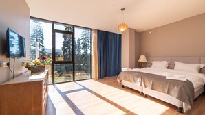 Basic Double Room, 1 Bedroom, Mountain View - Grand Noel Bakuriani (Borjomi)