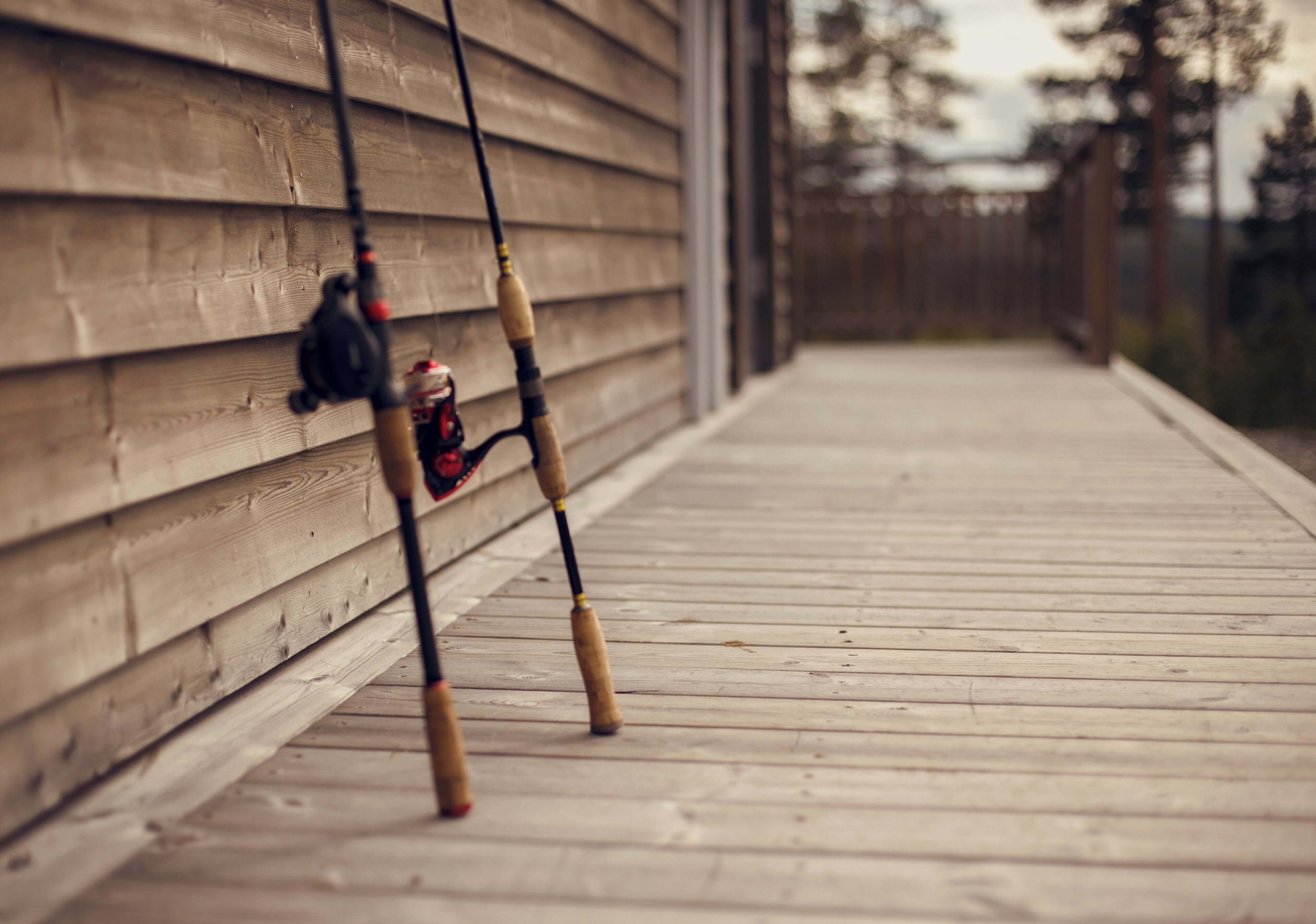 A wooden deck with fishing rods leaning against a wooden wall.