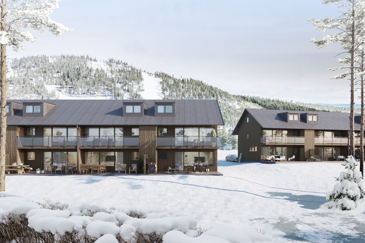 A modern building with multiple balconies, large windows, and a snowy landscape in the background.