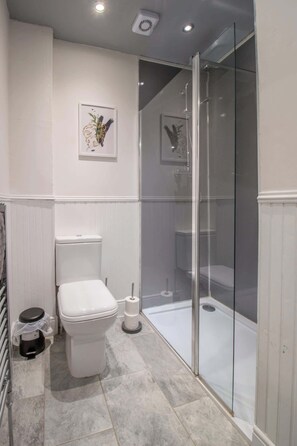 Shower, hair dryer, shampoo