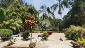 A paved garden area with various plants and a stone wall. - chez Drocella Eglantine Lodge Hotel (Kigali)