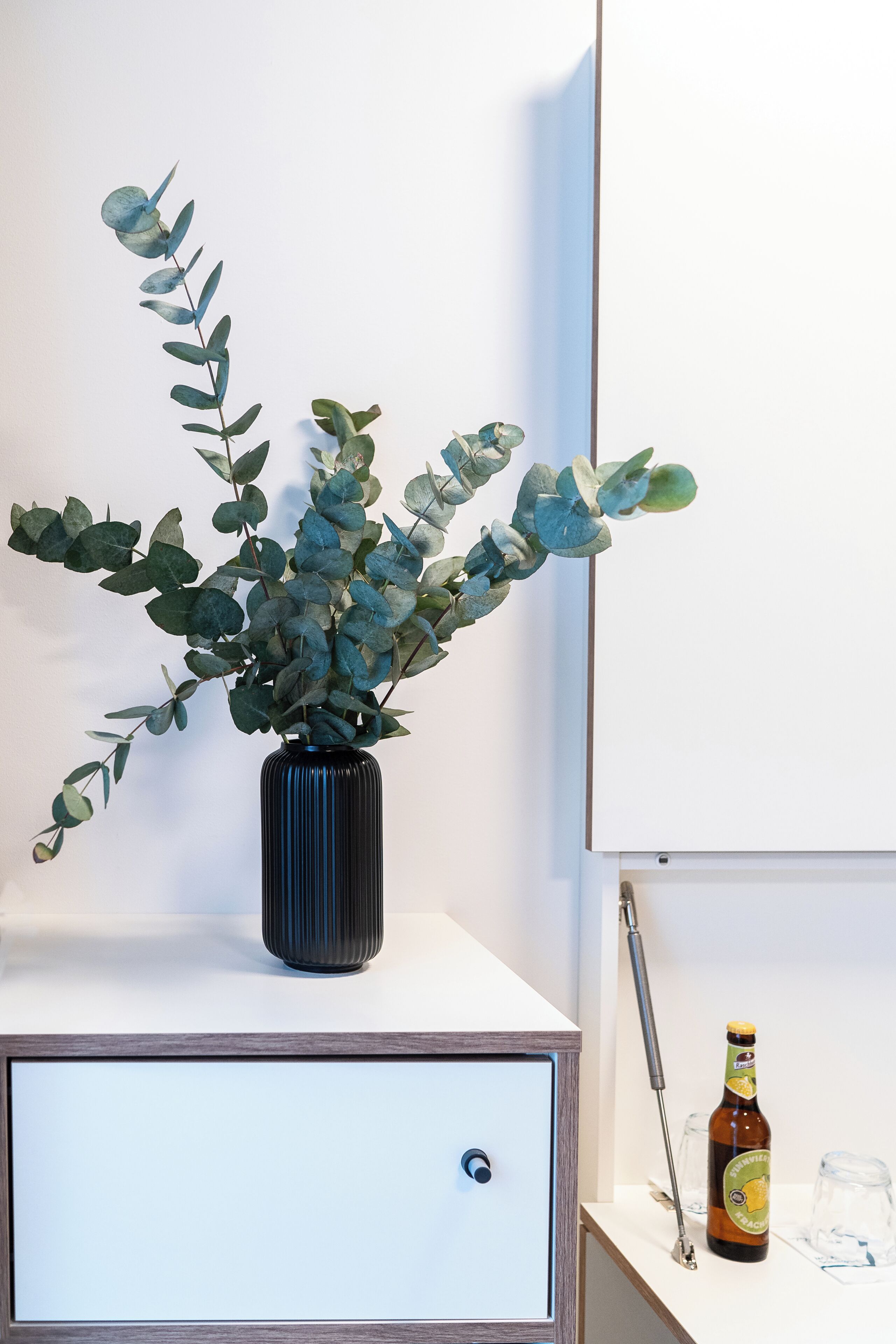 Un jarrón negro con follaje verde sobre una superficie blanca, junto a un mueble de madera con un pequeño agujero de cerradura.