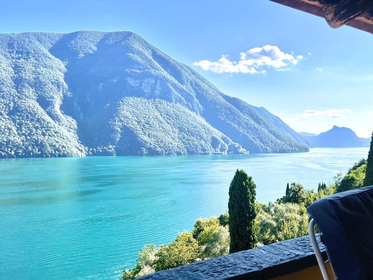 Imagen de perfil del propietario o de la propietaria