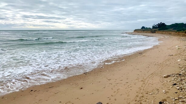 Una playa con arena y olas.