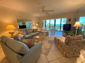 电视、DVD 播放器