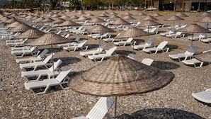 Una spiaggia con file di sedie a sdraio bianche e ombrelloni di paglia, con montagne e palme sullo sfondo.