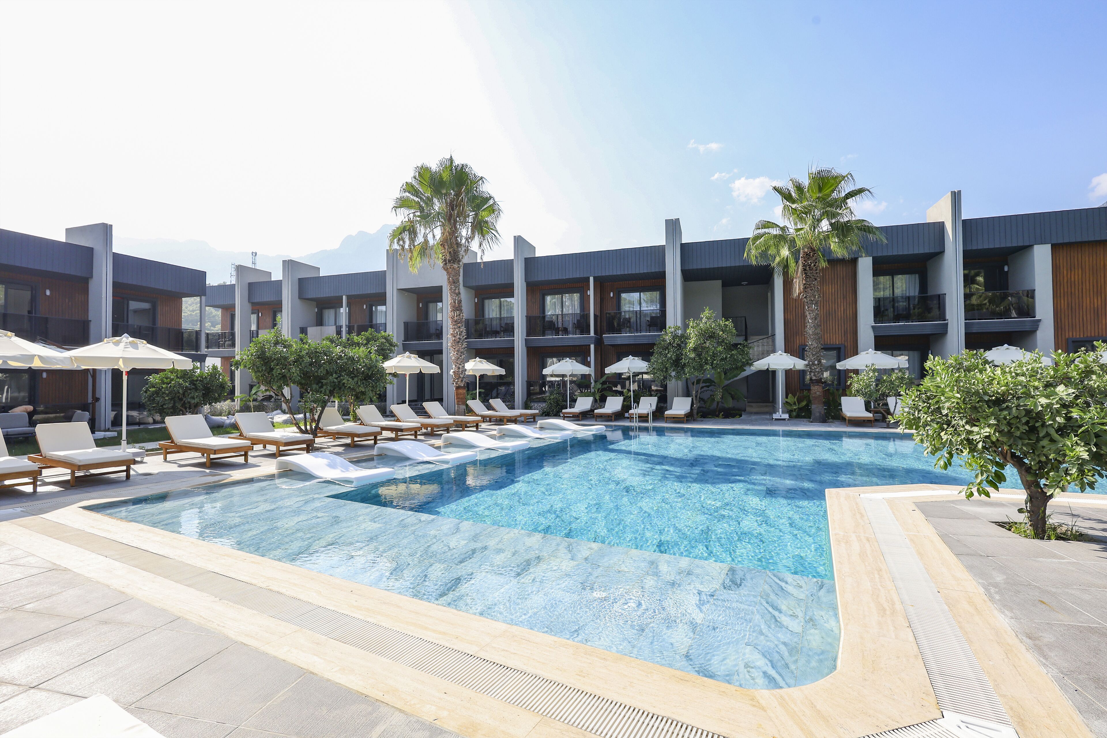 Foto - Forest In Hotel