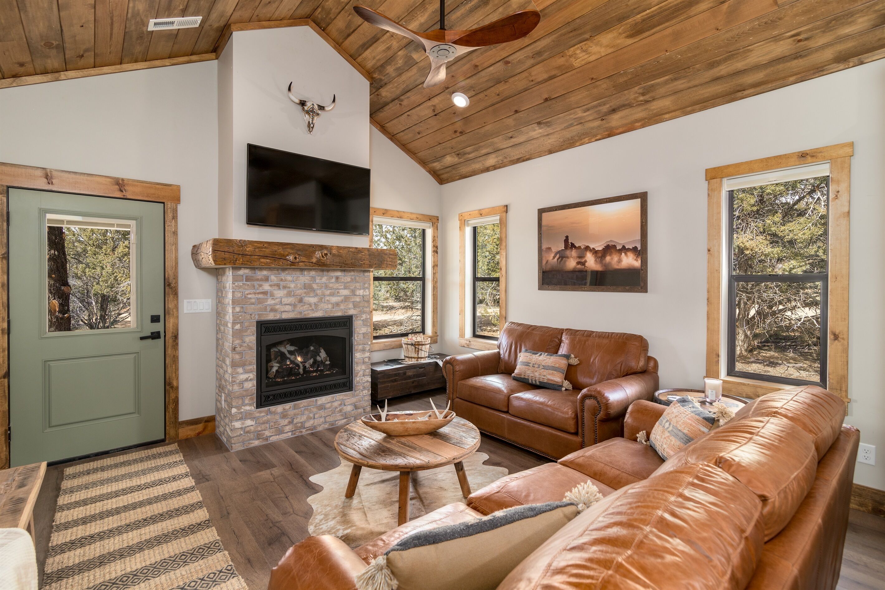 Smart TV, chimenea y libros 