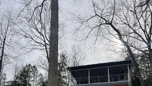 Une cabane dotée d’une terrasse en bois, d’un escalier et d’un banc à l’avant.