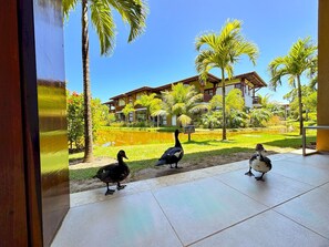 Apartamento | Jardines del alojamiento