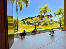 Apartamento | Área da propriedade