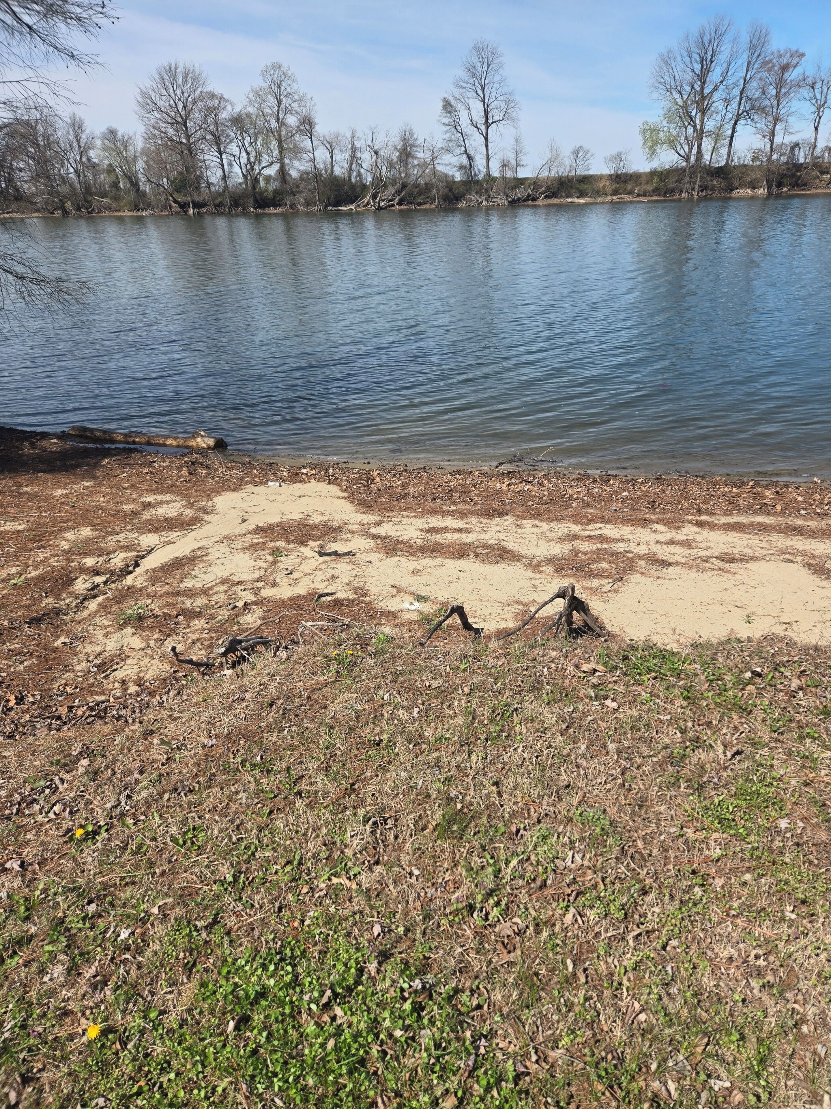 Sun loungers, beach towels