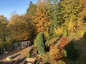 Property grounds - Immensee IV cozy small Apartment with common area with fireplace (Ronshausen)