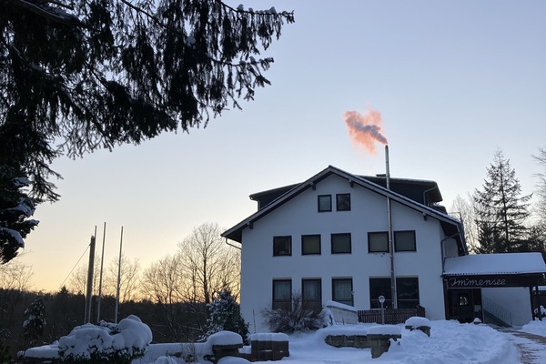 Immensee im Winter