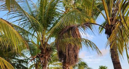 Caribbean Lofts 61 - Waterfront