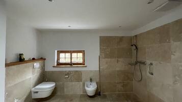 Hair dryer, bidet, towels, soap
