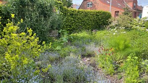 Un jardín con diversas plantas y flores, una casa de ladrillo al fondo y un seto.