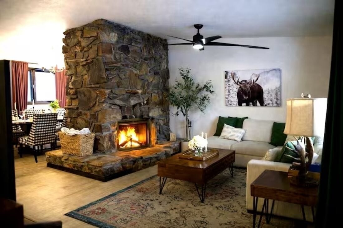 Smart TV, fireplace, video games, DVD player