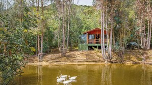 A wooden cabin with a glass enclosure, surrounded by trees and a pond with swans. - Glamping Experience Savieza (Nemocon)