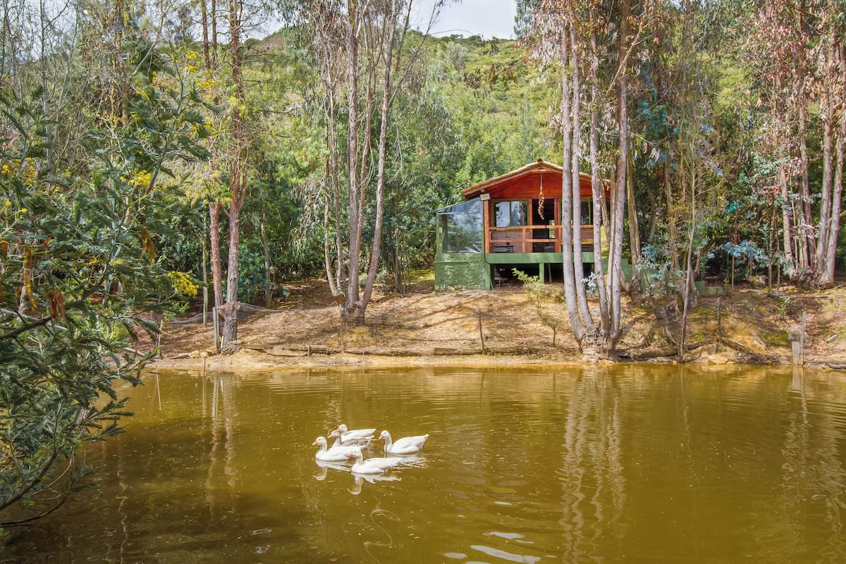 Una cabaña de madera con cerramiento de vidrio, rodeada de árboles y un estanque con cisnes.